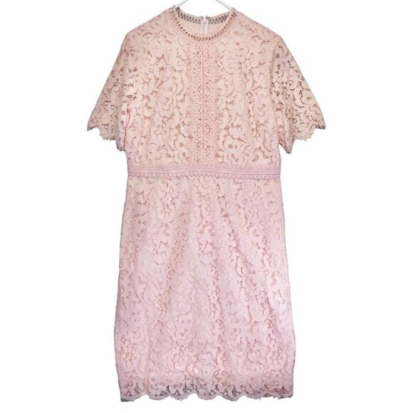 Rachel Parcell Pink Lace Sheath Dress Size XL Romantic Spring Easter Wedding - Picture 3 of 11